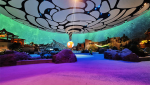 sea_world_ramonloganjr_01